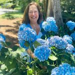 Kim Isaacson Plotnick - @kim3dart - Instagram