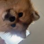 @kimivory_ - Instagram