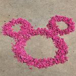 Kim Jackman - @kmmbos12 - Instagram