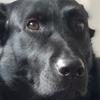 user2228862371512 - @kimjackman123 - TikTok
