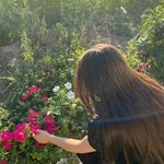 Kim Jalbert - @k1m_jalbert - Instagram