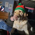 Kim Janes - @kim5453 - Instagram