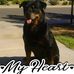 Kim Janssen - Facebook