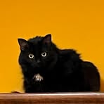 Kim Janzen - Facebook