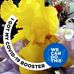 Kim Jeffries - Facebook