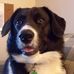 Kim Jeffries - Facebook