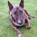 Kim Johnstone - Facebook