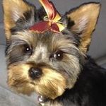 Kim Johnstone - @kim.johnstone.315 - Instagram
