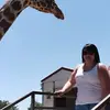 Kimberley Johnstone - @kimjohnstone92 - TikTok