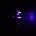 Kim Judd - @tjudd0026 - Instagram