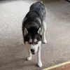 kimkeane8 - @kimkeane8 - TikTok