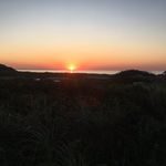 Kim Brown Kearns - @kim.kearns20 - Instagram