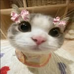 @kimke.ndall - Instagram