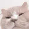 kim_kimberling2 - @kim_kimberling2 - TikTok