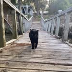 Kim Kimbrell - @kimbrell7656 - Instagram