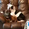 Kim Greenman Kippert - @kim.greenman.kipp - TikTok