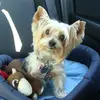 kimberlykirkley1 - @kimberlykirkley1 - TikTok