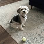 Kim Kiser - @kiser4155 - Instagram