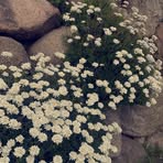 Kim Klatt - Facebook