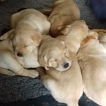 Kim Knowles - @kim.knowles.98892 - Instagram