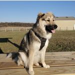 Kim R. Kroll - @kimrkroll - Instagram