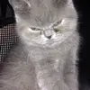 kimkroll - @kimkroll - TikTok