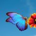 Kim Kruse - Facebook