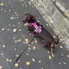 labelle.kim - @labelle.kim - TikTok