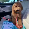 Kim Ladd - @fletchersfavorites - TikTok