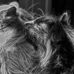 Kim Ladd Photography - Facebook