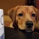 Kim Lampe - @kimmersue987 - Instagram