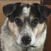 Kim Lampe - Facebook