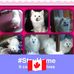 Kim Lander - Facebook