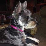 Kim Lanier - @kim.lanier.6304 - Instagram