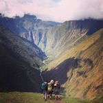 Kim Lauzon - @lauzonkim - Instagram