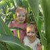 Kim Leduc VanLoon - Facebook