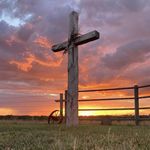 Kim Leland - @nzk1985 - Instagram