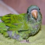 Kim Leland - @featherfeets - Instagram