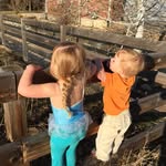 Kim Lerner - @lernerkim - Instagram