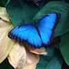 Kim_lernerrr - @kim_lernerrr - TikTok