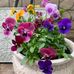 Kim Levasseur - Facebook