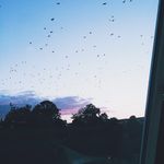Kim Levin - @kim.levin - Instagram