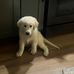Kim Lewin - Facebook