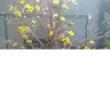 Kim Lieu - @kim.lieu460 - TikTok