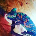 Kim Lindemann - @lindemann_kim - Instagram