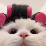 Kim Lisha(🐣) - @kimlisha99 - Instagram