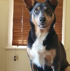 Kim Lockley - Facebook