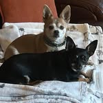 Kim Lofton Chadwell - @kchadwel - Instagram