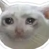 kim logie - @kim.logie22 - TikTok