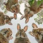 Kim Lohmann - @kim.lohmann.9 - Instagram